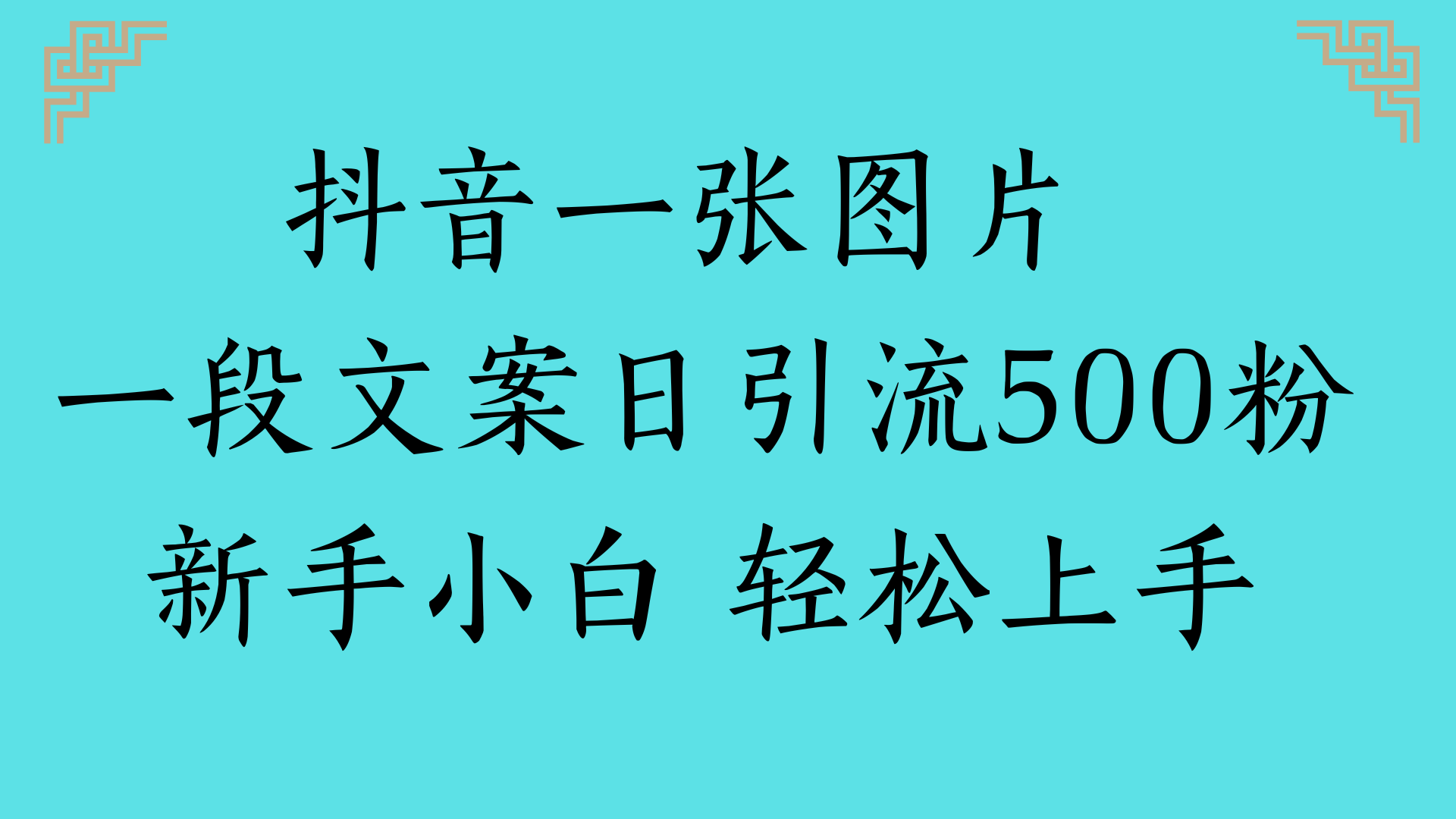抖音一张图片 一段文案日引流500粉新手小白 轻松上手-翌晨科技网