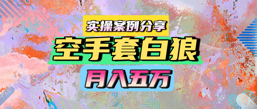 空手套白狼，月入五万，实操案例分享-翌晨科技网