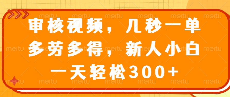 视频审核员，几秒一单，多劳多得，新人小白一天轻松300+-翌晨科技网