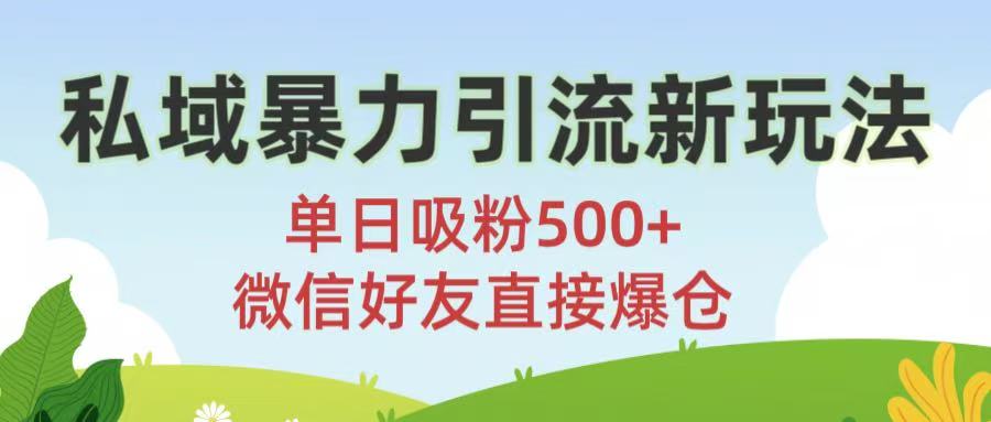 私域暴力引流新玩法!单日吸粉500+，微信好友直接爆仓-翌晨科技网