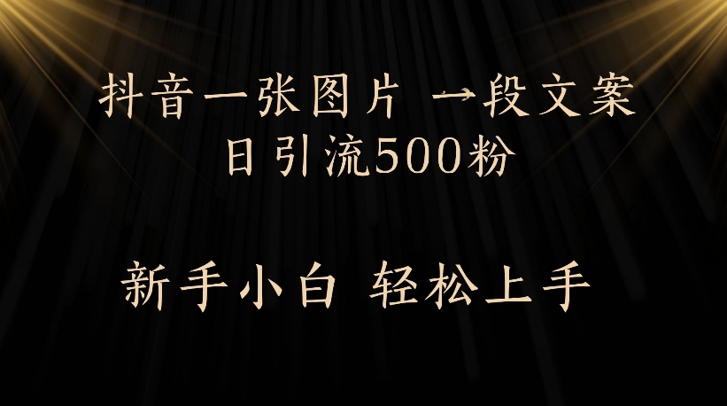抖音一张图片，一段文案日引流500粉，新手小白 轻松上手-翌晨科技网