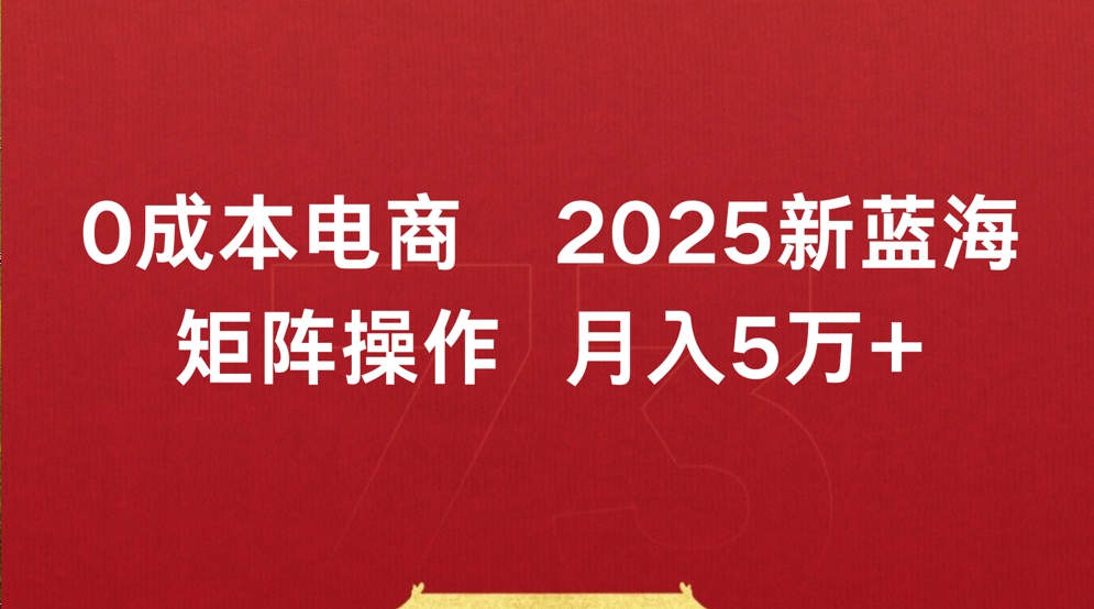 0成本电商2025新蓝海矩阵操作 月入5万+-翌晨科技网