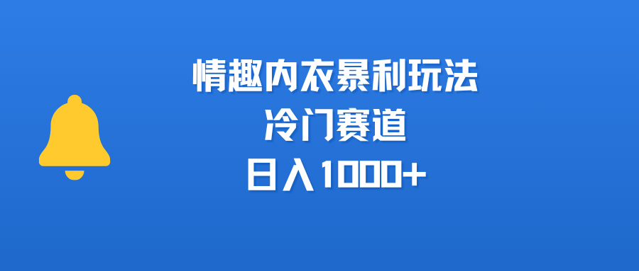 情趣内衣暴利玩法,冷门赛道,日入1000+-翌晨科技网