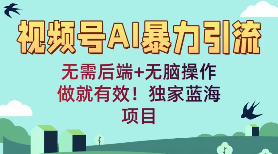 视频号AI暴力引流：无需后端+无脑操作，做就有效！独家蓝海项目-翌晨科技网