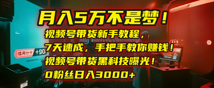 月入5万不是梦!视频号带货新手教程,7天速成,手把手教你赚钱!视频号带货黑科技曝光!0粉丝日入3000+-翌晨科技网