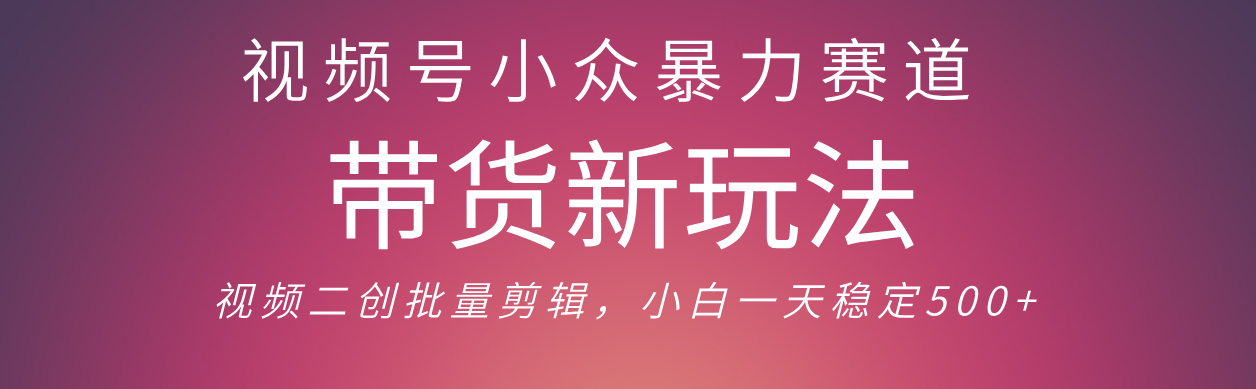 视频号小众暴力赛道，最新带货玩法 小白也能轻松日入500+ 保姆及教程-翌晨科技网