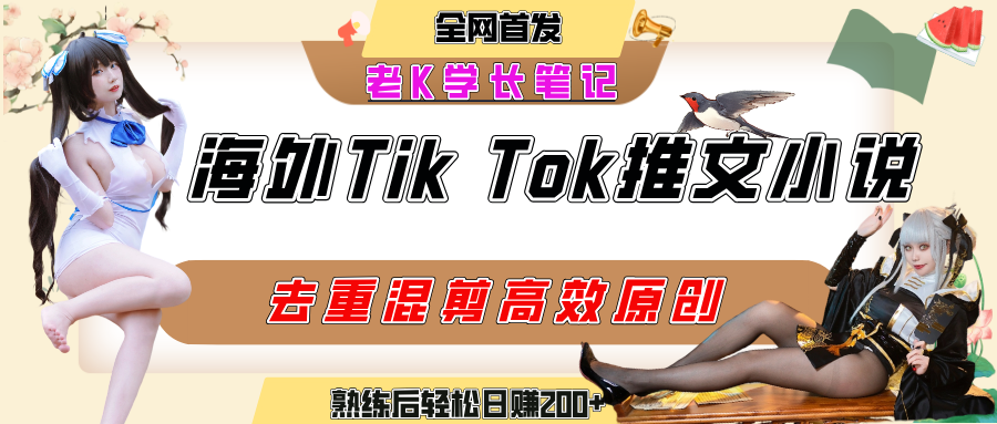 海外tiktok小说推文暴力项目,高停留率,高转化率,上手后一天搞顿饭钱不是问题-翌晨科技网