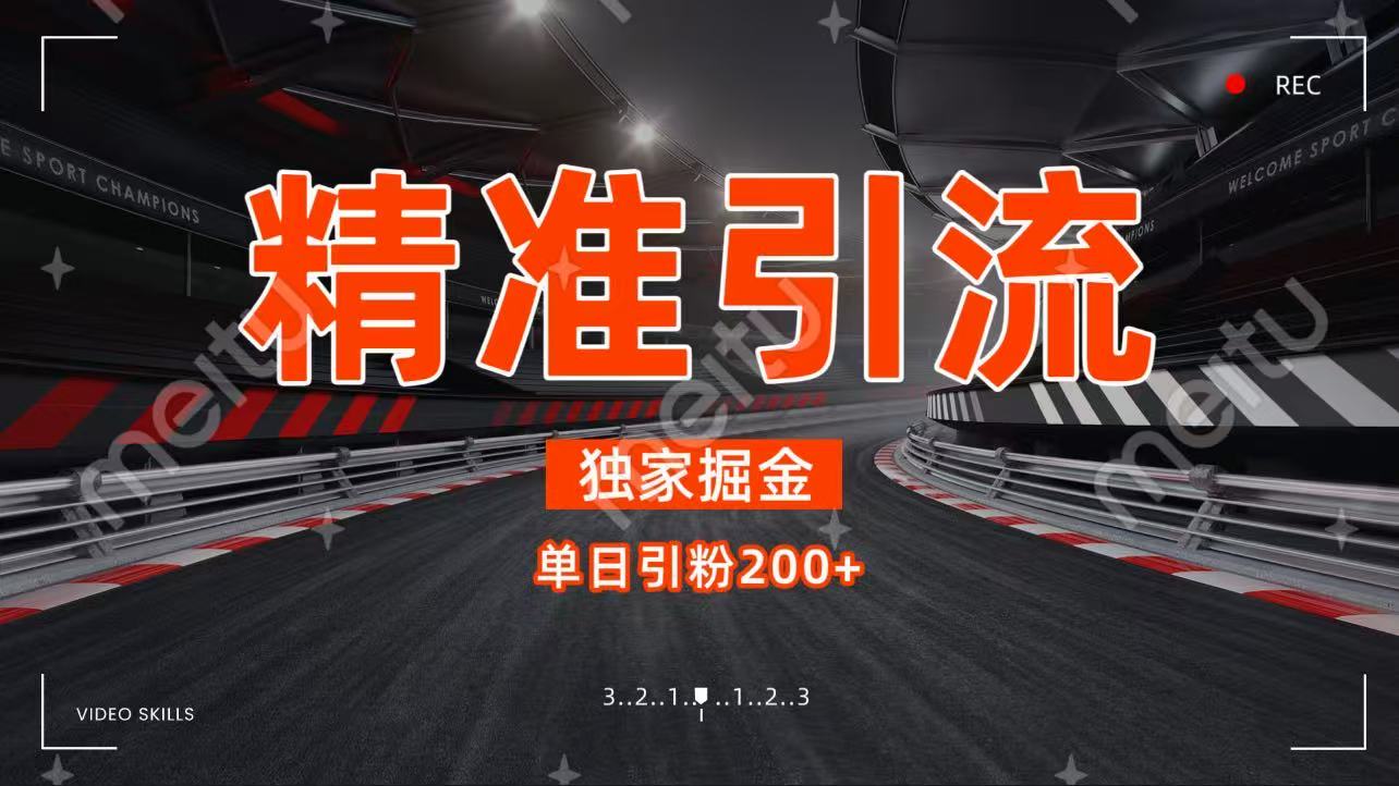 独家野路子精准引流 每日200+-翌晨科技网