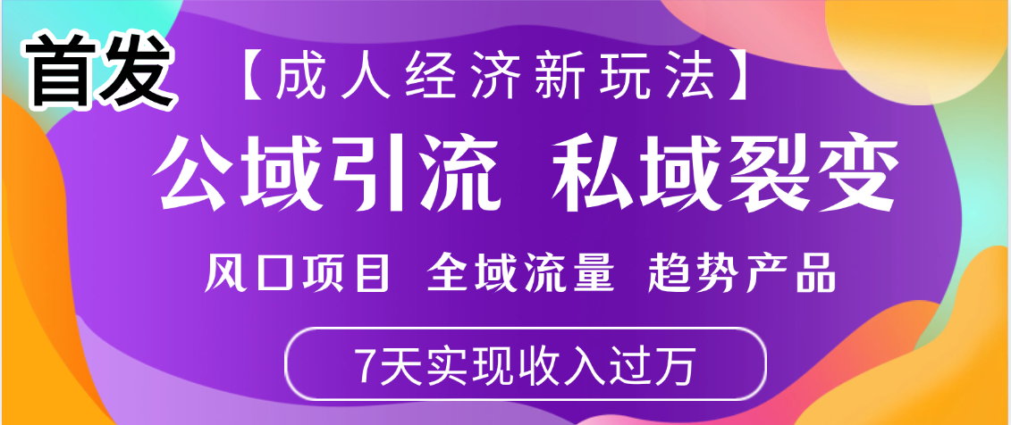 首发：【成人经济新玩法】市面独家玩法，风口项目、全域流量、趋势产品，7天实现月入过万-翌晨科技网
