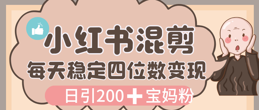 价值 3980 的小红书混剪, 虚拟变现,日引 200+宝妈创业粉,每天稳定四位数变现-翌晨科技网