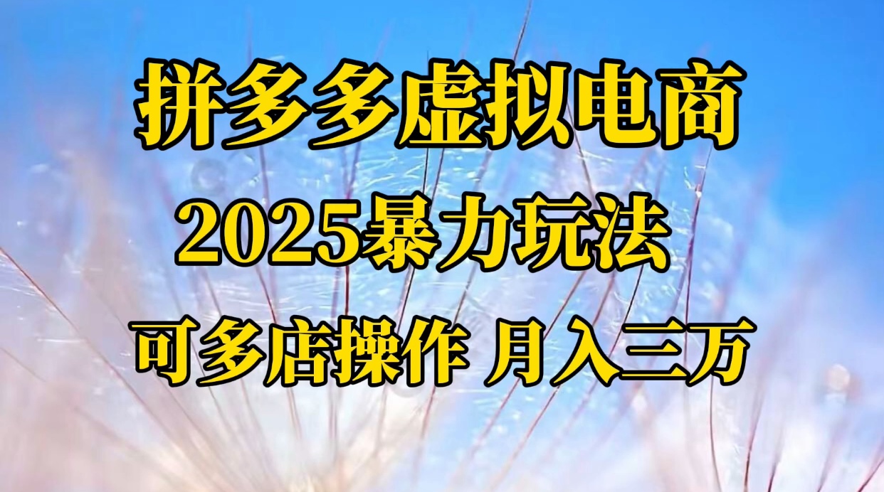 拼多多虚拟电商，不囤货不垫资的虚拟电商-翌晨科技网