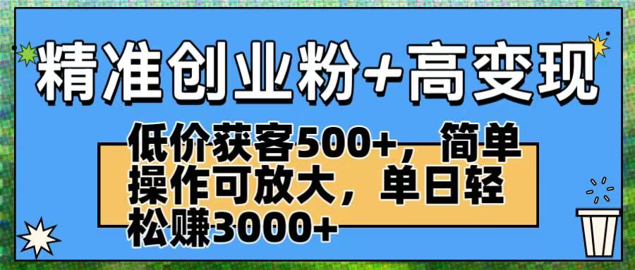 精准创业粉+高变现：低价获客500+，简单操作可放大，单日轻松赚3000+-翌晨科技网