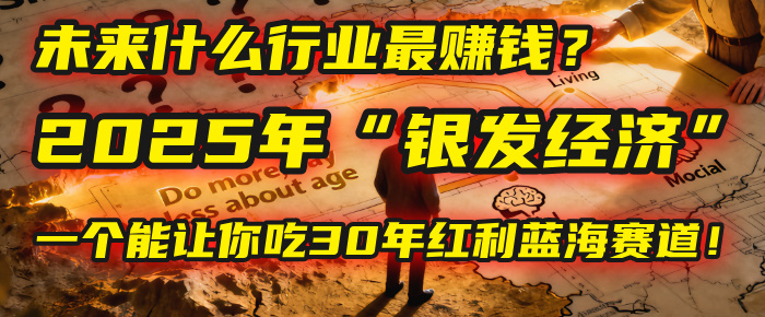 未来什么行业最赚钱?马哥揭秘2025年“银发经济”:一个能让你吃30年红利的蓝海赛道!-翌晨科技网