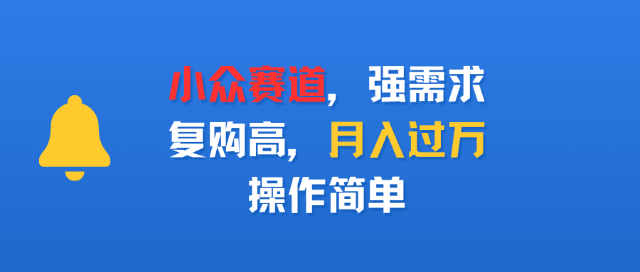 小众赛道，强需求，复购高，月入过万，操作简单-翌晨科技网