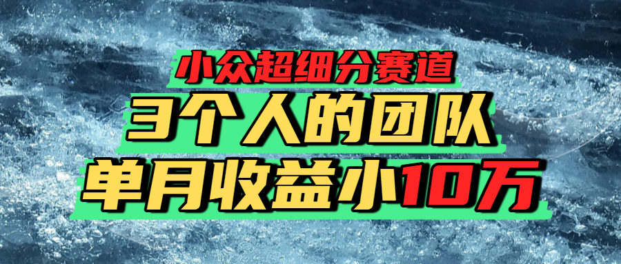 小众超细分赛道,一年百万利润的盘子!-翌晨科技网