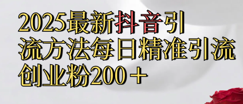 2025最新抖音引流,方法每日精准引流创业粉300＋-翌晨科技网