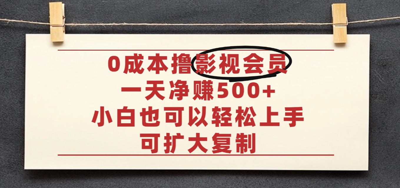 亲测,0成本可批量操作,靠卖影视会员实测月入30000+-翌晨科技网