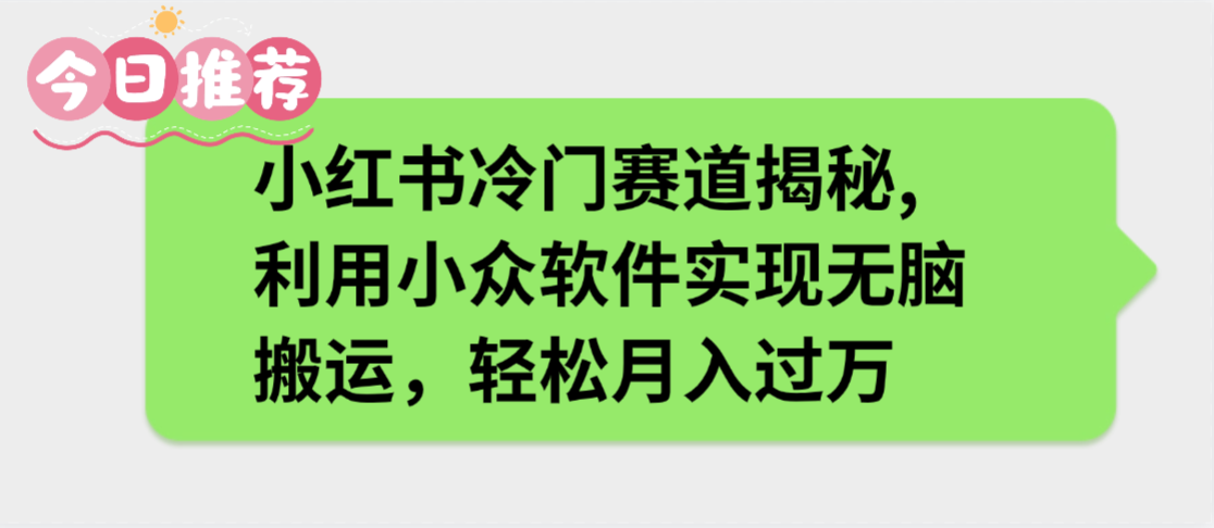 小红书冷门赛道揭秘,利用小众软件实现无脑搬运，轻松月入过万-翌晨科技网