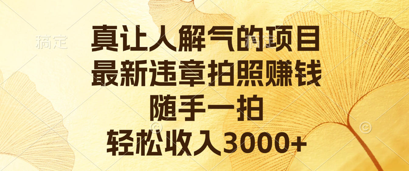 真让人解气的项目，最新违章拍照赚钱，随手一拍，轻松收入3000+-翌晨科技网