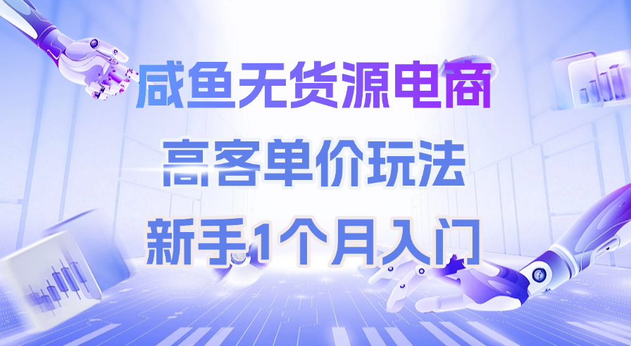 咸鱼无货源电商,高客单价玩法,新手1个月入门-翌晨科技网