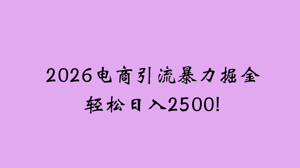 2026电商引流新玩法，日引200，日可入2500+-翌晨科技网