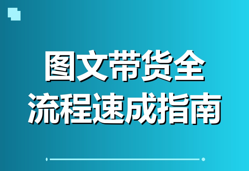 图文带货项目速成1.0：从账号定位到豆荚投放，一站式掌握全流程技巧-翌晨科技网