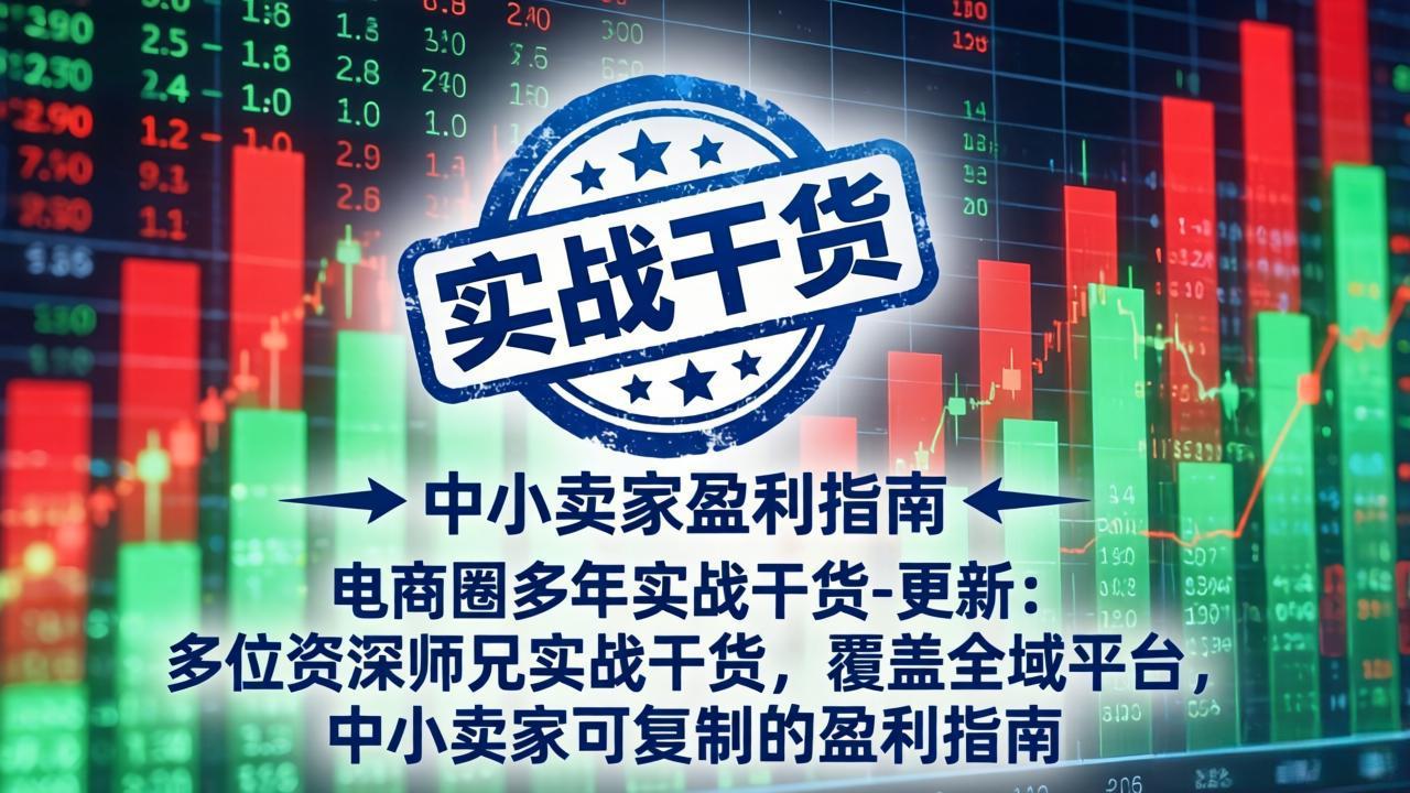 （18398期）电商圈多年实战干货-更新5月10：多位资深师兄实战干货/覆盖全域平台，中小卖家可复制的盈利指南-翌晨科技网