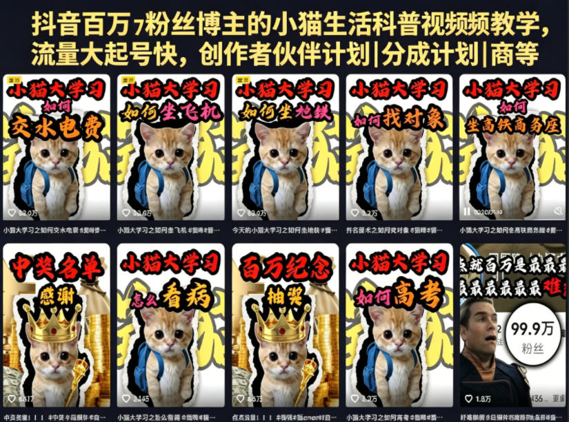 抖音百万粉丝博主的小猫生活科普视频教学，流量大起号快，创作者伙伴计划|分成计划|商单|收徒等-翌晨科技网