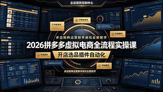 （19136期）2026拼多多虚拟电商全流程实操课，开店选品插件自动化，多店矩阵运营新手避坑全套教学-翌晨科技网