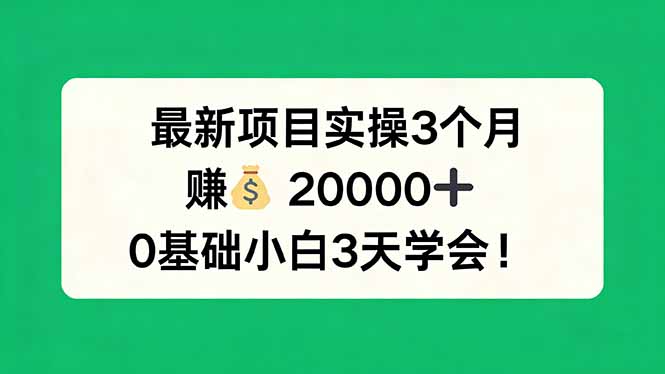 （17856期）最新项目实操3个月，赚钱20000+，0基础小白3天学会！-翌晨科技网