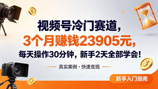（18799期）视频号冷门赛道，3个月变现23905元，新手2天学会 每天操作30分钟！-翌晨科技网