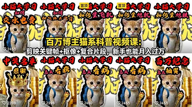 （18595期）百万博主猫系科普视频课：剪映关键帧+抠像+复合片段，新手也能月入过万-翌晨科技网