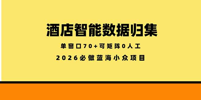 （18500期）酒店智能数据归集，小众蓝海已经稳定半年之久，单窗口70+零成本矩阵开干-翌晨科技网