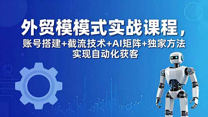 （18367期）外贸新模式实战课程-更新5月，账号搭建+截流技术+AI矩阵+独家方法实现自动化获客-翌晨科技网