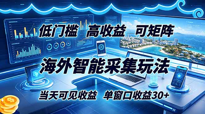 （18955期）海外智能采集玩法，低门槛高单价可矩阵，当天可见收益，单窗口30+-翌晨科技网