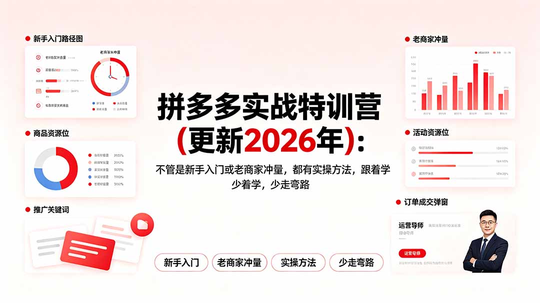 （19291期）拼多多实战特训营(更新2026年)：不管是新手入门或老商家冲量，都有实操方法，跟着学，少走弯路-翌晨科技网