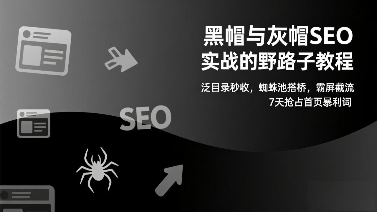 （17125期）黑帽与灰帽SEO实战的野路子教程：泛目录秒收，蜘蛛池搭桥，霸屏截流，7天抢占首页暴利词-翌晨科技网