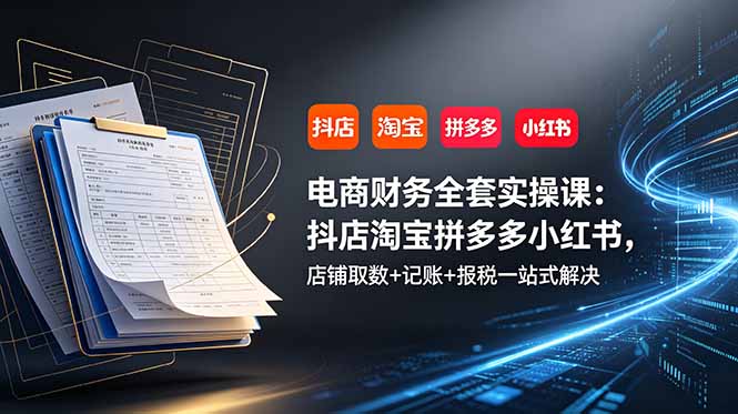 （19001期）电商财务全套实操课：抖店淘宝拼多多小红书，店铺取数+记账+报税一站式解决-翌晨科技网