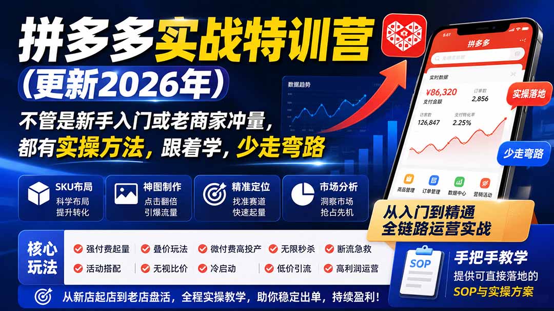 （20010期）拼多多实战特训营(更新26年0822)：不管是新手入门或老商家冲量，都有实操方法，跟着学，少走弯路-翌晨科技网