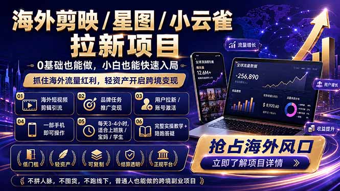 （18567期）海外剪映 / 星图 / 小云雀拉新项目 普通人也能上手的跨境流量变现副业-翌晨科技网