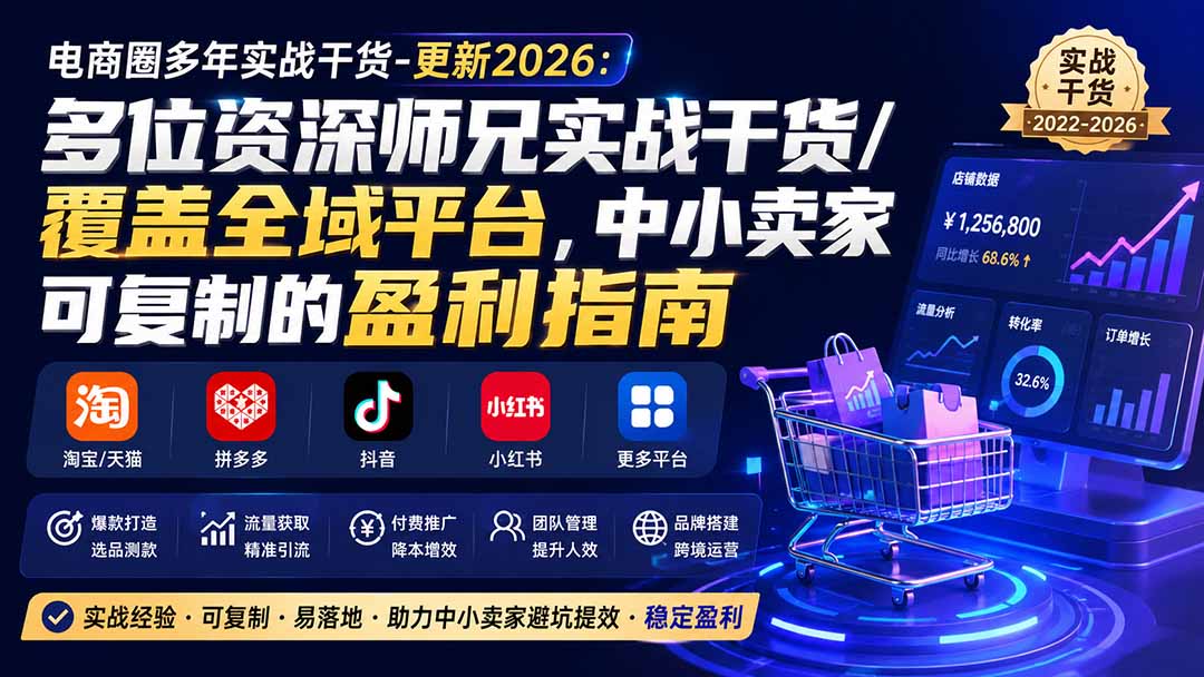 （20012期）电商圈多年实战干货-更新2026：多位资深师兄实战干货/覆盖全域平台，中小卖家可复制的盈利指南-翌晨科技网