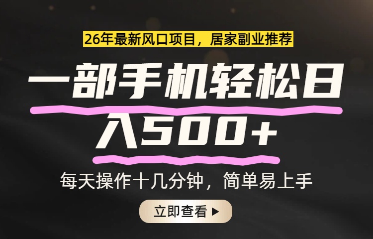 (17680期)26年居家副业首选,一部手机轻松日入500+,长期稳定可做-翌晨科技网