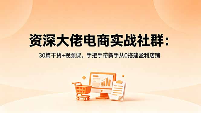 （18529期）资深大佬电商实战社群：30篇干货+视频课，手把手带新手从0搭建盈利店铺-翌晨科技网