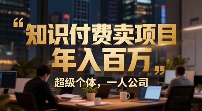 （17134期）从0到年入百万：超级个体实战心得公开，个人IP×精准引流×成交系统全拆解-翌晨科技网