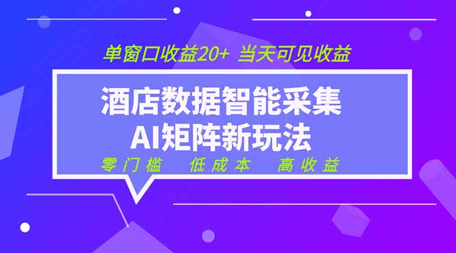 （19041期）2026酒店数据采集ai智能矩阵新风口  低成本   高收益   当天见收益   单窗口20+-翌晨科技网