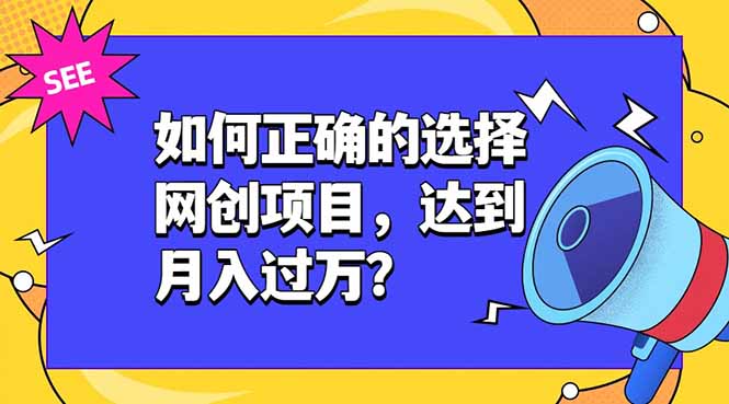 （19176期）如何正确的选择网创项目，达到月入过万？，本课程教你正确选择项目。-翌晨科技网