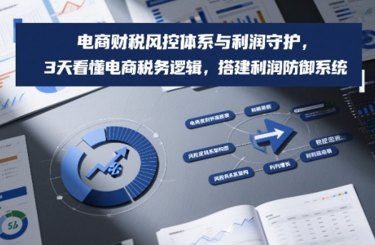 电商财税风控体系与利润守护，3天看懂电商税务逻辑，搭建利润防御系统-翌晨科技网
