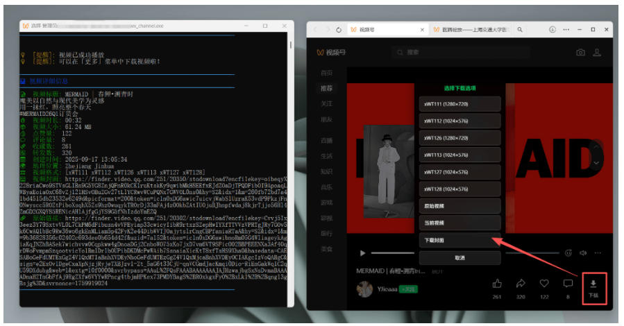 图片[4]-Github热门工具，视频号下载神器又来了！一键注入下载按钮，轻松下载，使用便捷wx_channel-翌晨科技网