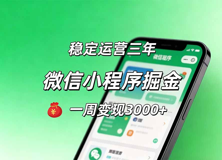 （20077期）月收益稳定1W+的微信小程序，前期积累客户，后期躺平养老，小白轻松上手-翌晨科技网