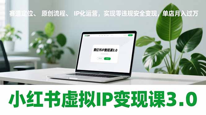 （17029期）小红书虚拟IP变现课3.0，赛道定位、原创流程、IP化运营，实现零违规安全变现，单店月入过万-翌晨科技网